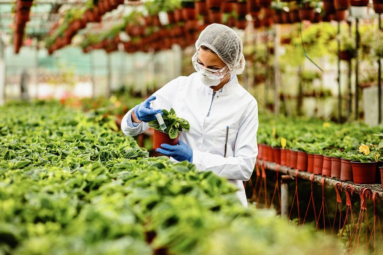 Startups españolas apuestan por la biotecnología verde